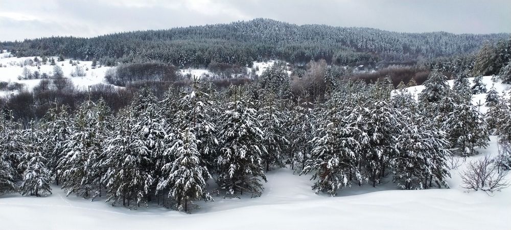 Photograph by Виталий Асташов