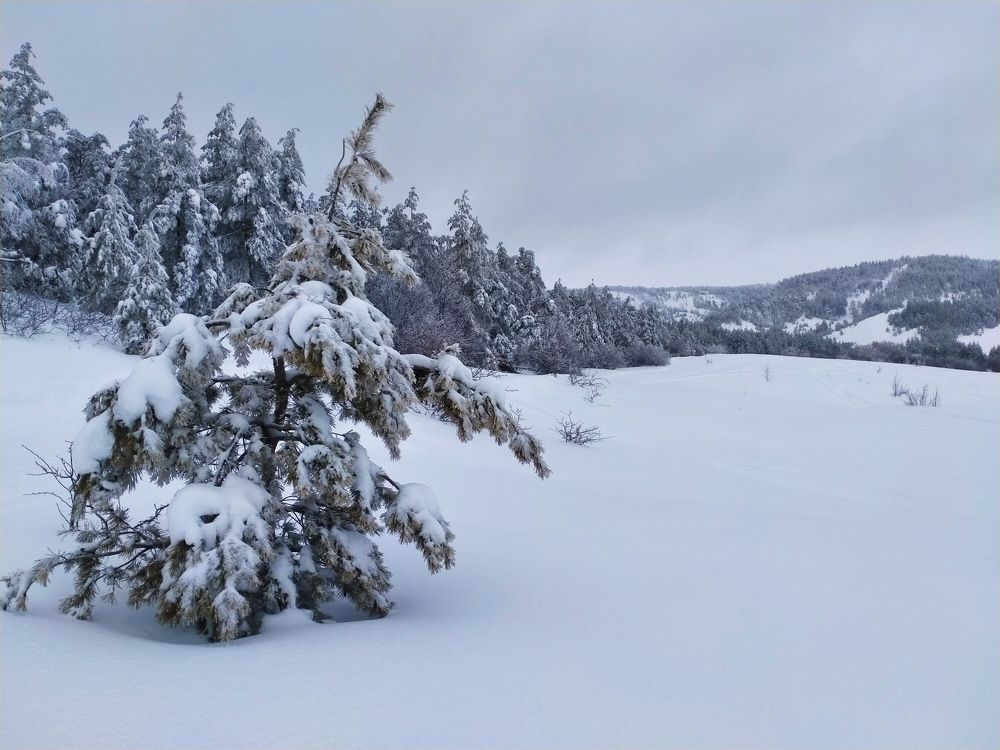 Photograph by Виталий Асташов