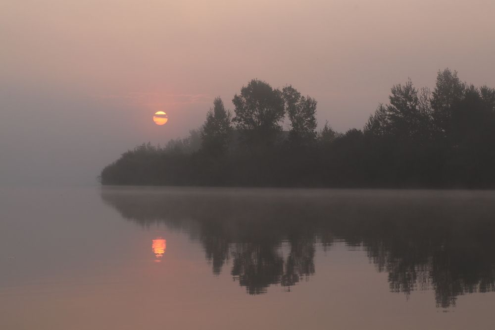 Photograph by Светлана Богомолова