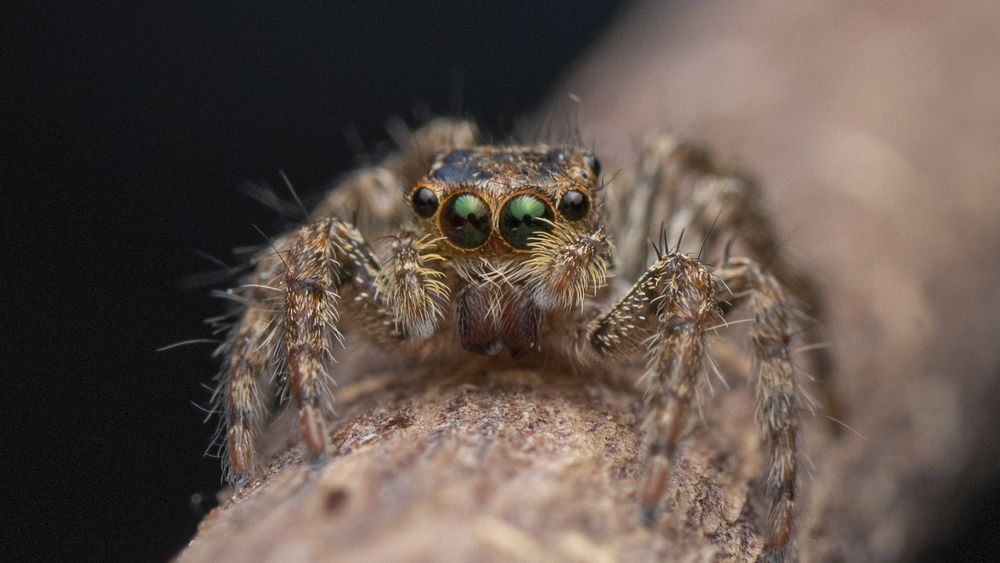 Photograph by Ng Max