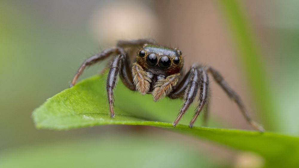 Photograph by Ng Max