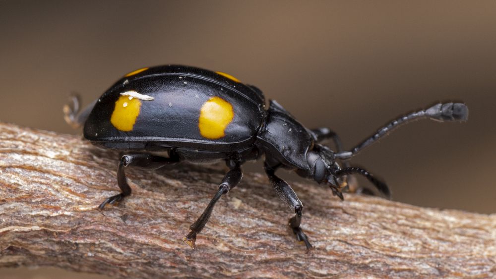 Photograph by Ng Max