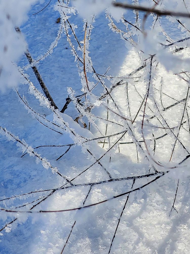 Photograph by Сизикова Ирина