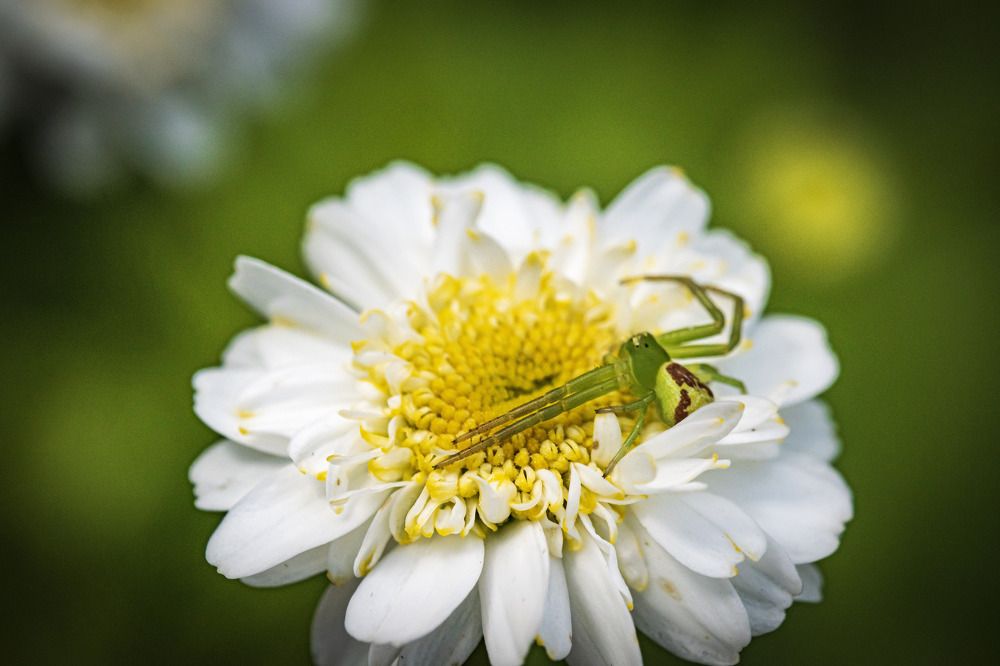 Photograph by Наталья