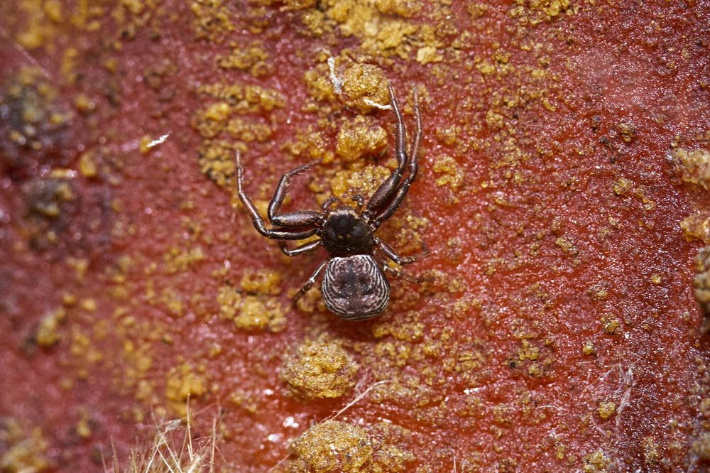 Фотография автора Игорь Игоревич