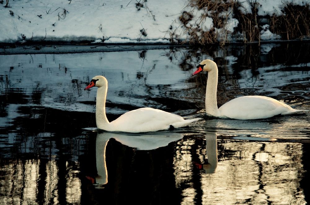 Photograph by Сергей Симаков