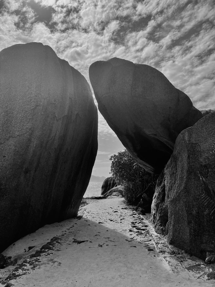 Photograph by Irina Studenyak