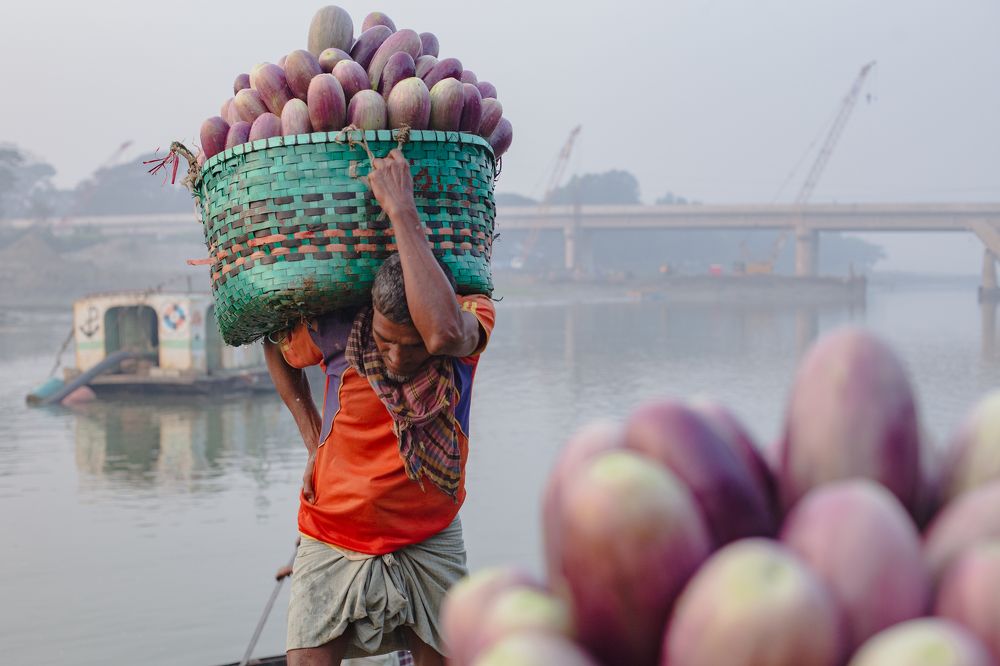 Eggplant on shoulder