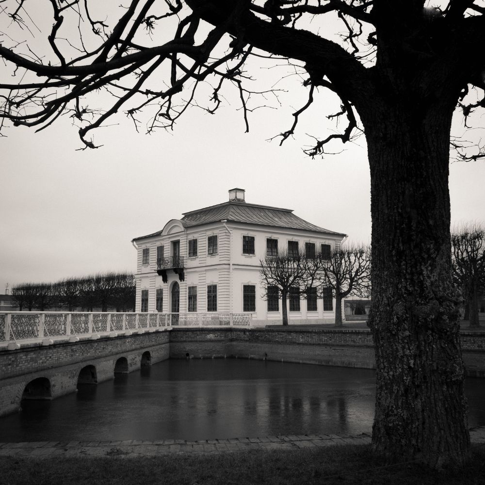 Photograph by Елена Курзина