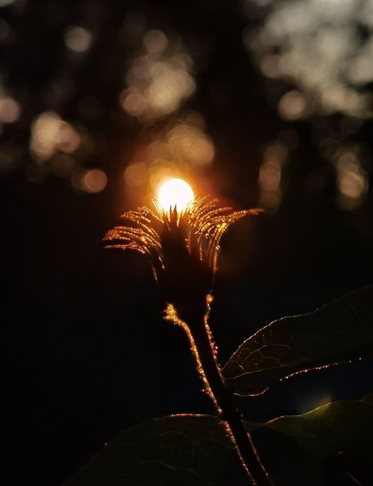 Photograph by Ольга