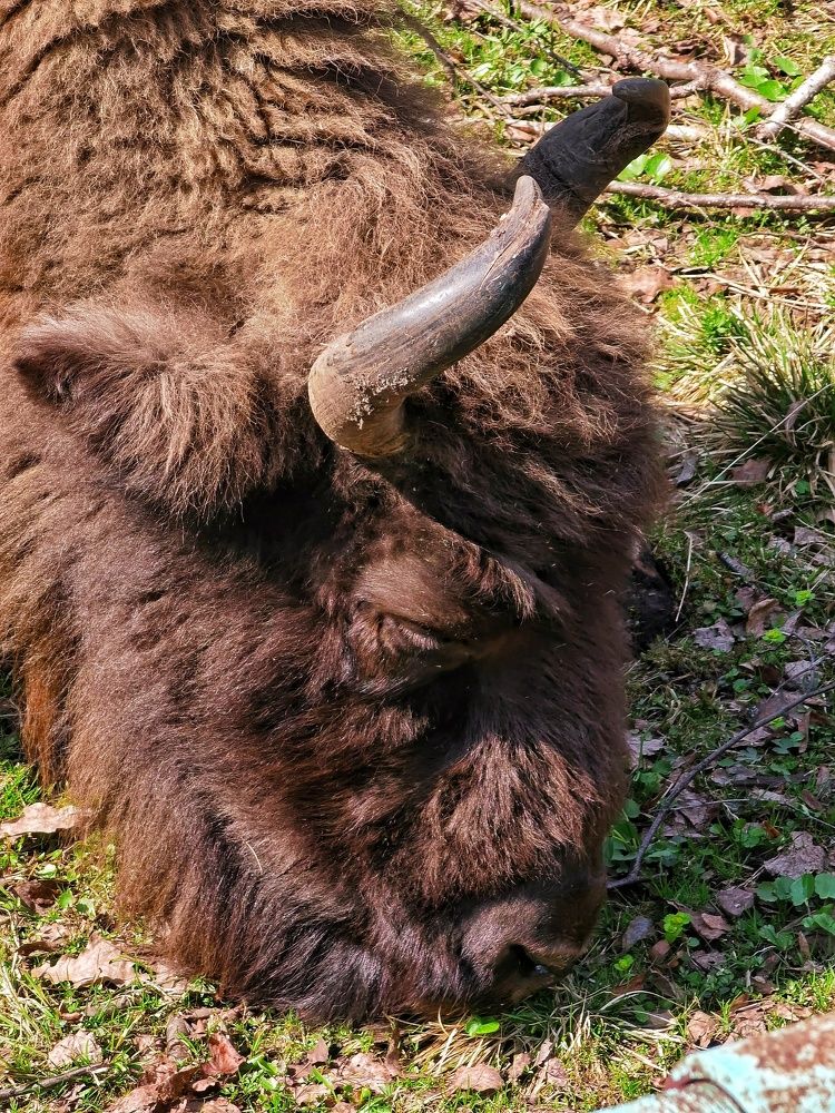 Photograph by Ольга