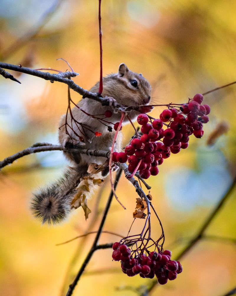 Photograph by Сергей Егоров