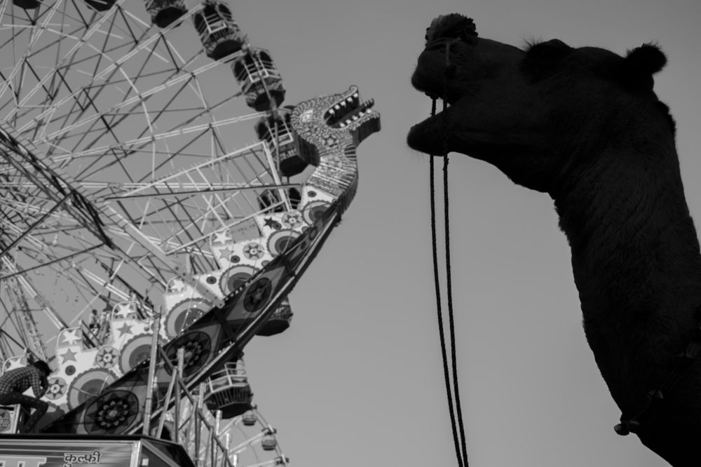 Photograph by Rahul saini