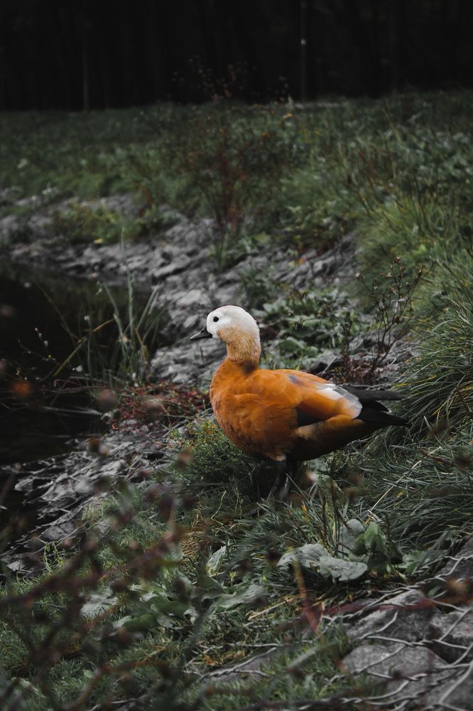 Photograph by Дима