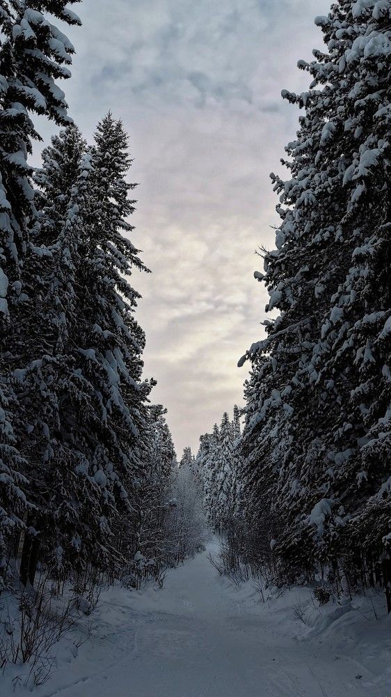 Photograph by Vlad S.