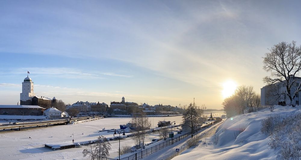 Фотография автора Анна Могилева