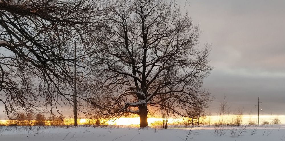 Photograph by Юрий Яценик