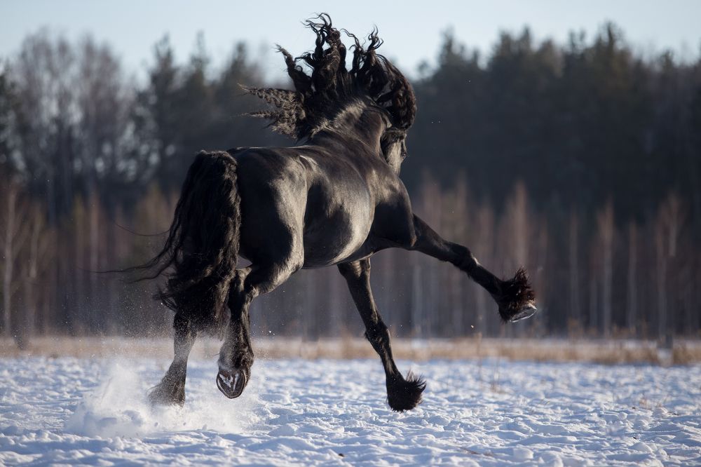 Фотография автора Аксёнова Олеся