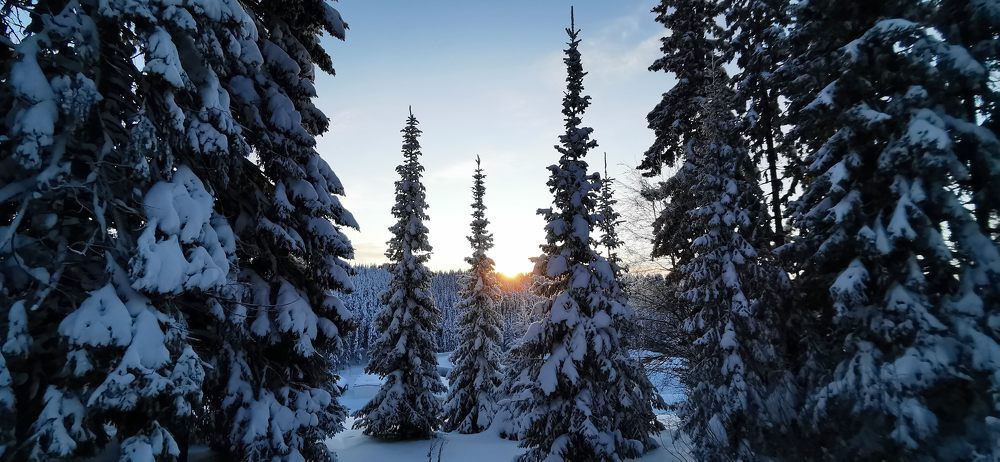 Photograph by Vlad S.