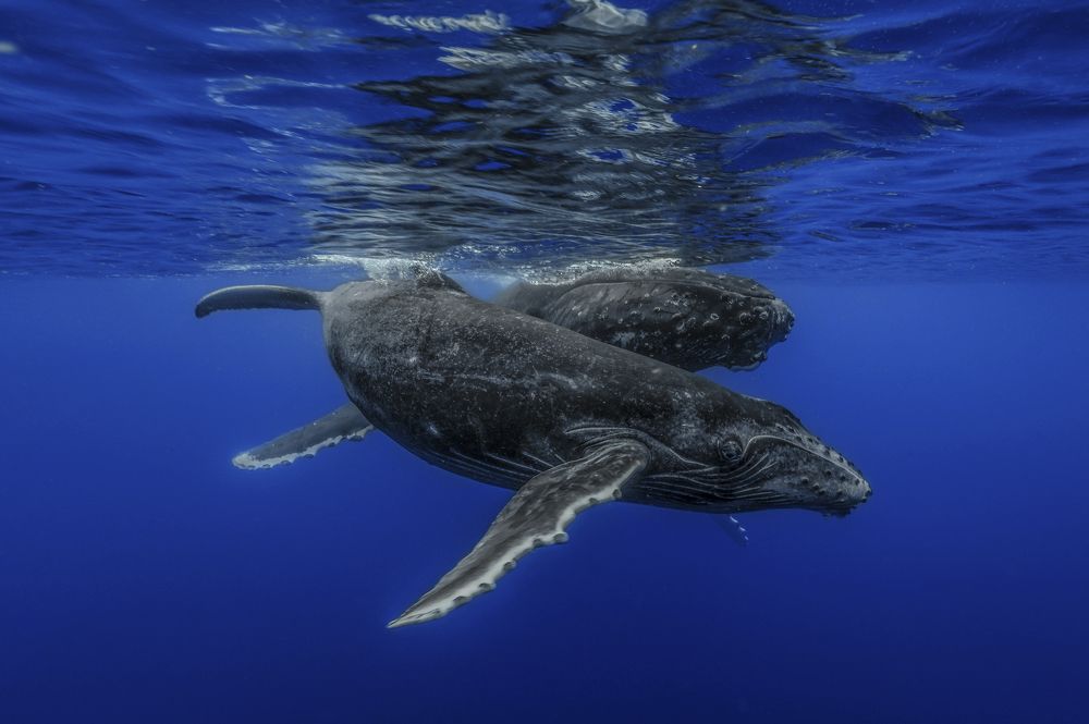 Photograph by daniele comin