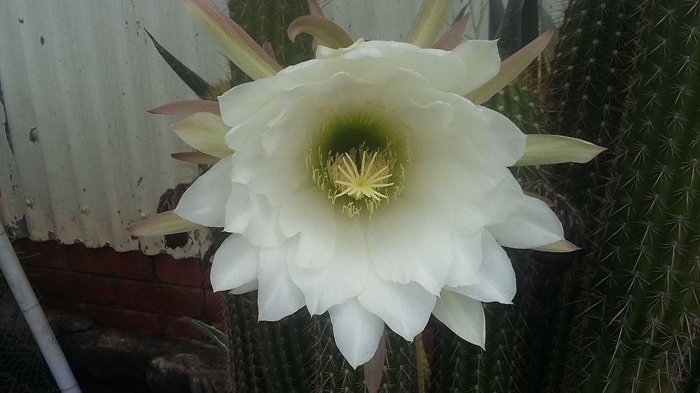 Photograph by Marelizé Wepener