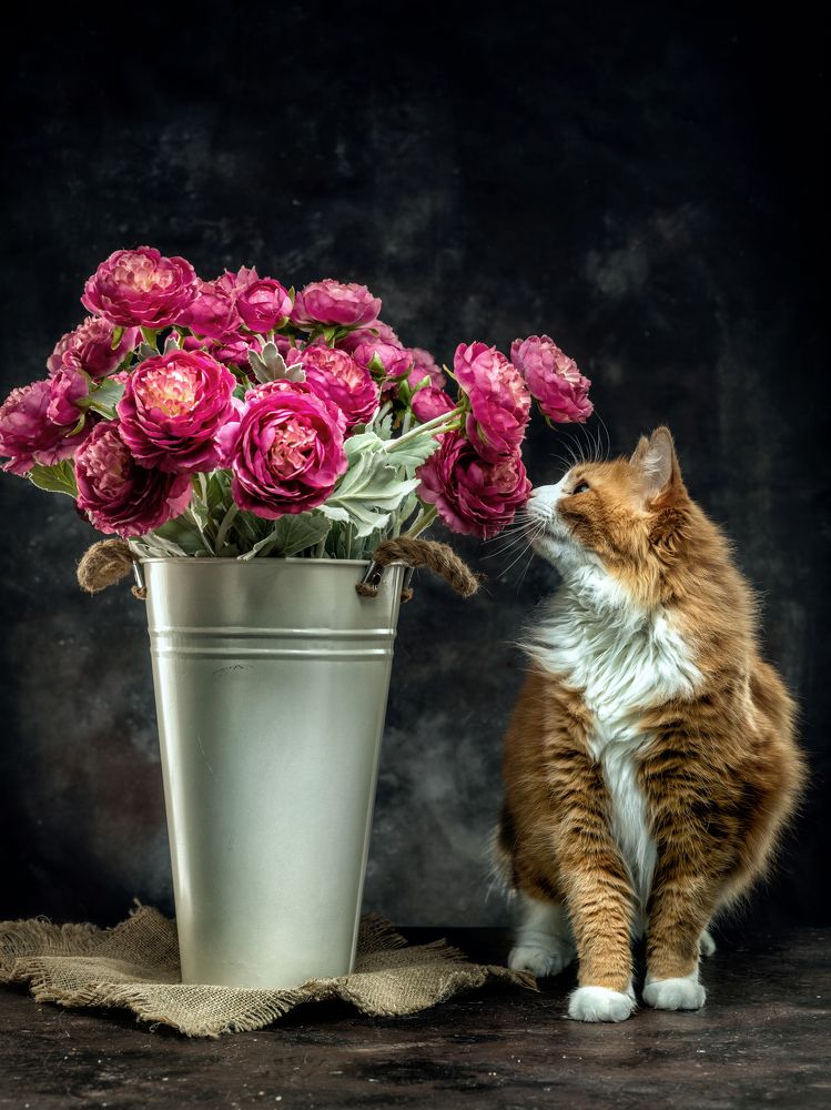 Фотография автора Дмитрий Герц