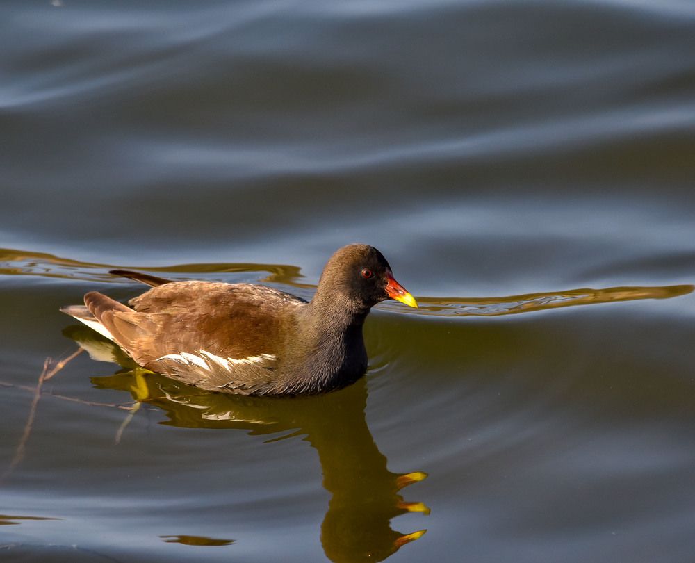 Photograph by Rimma Volchenko