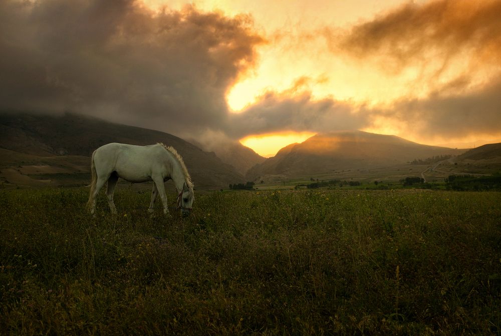 Photograph by Benyamin Farhang