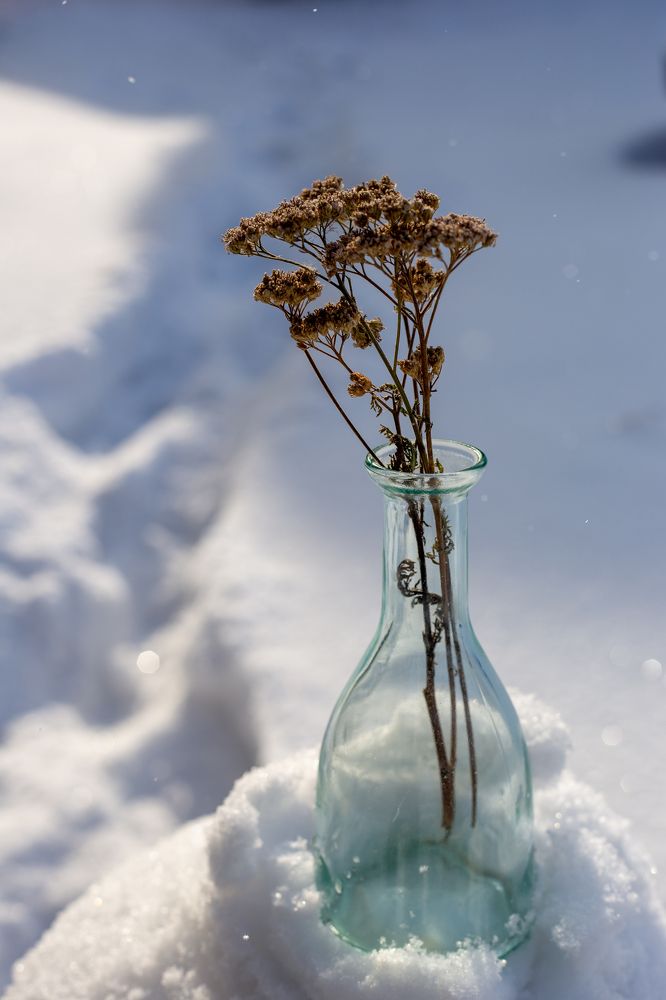 Photograph by Марина Смирнова