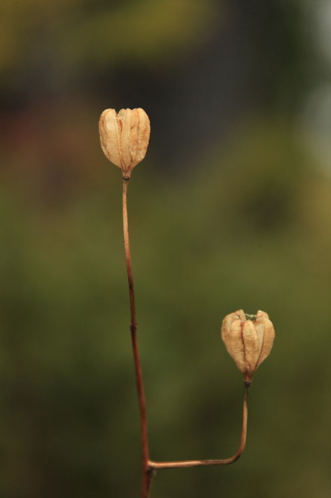 Photograph by Алексей Бочкарев