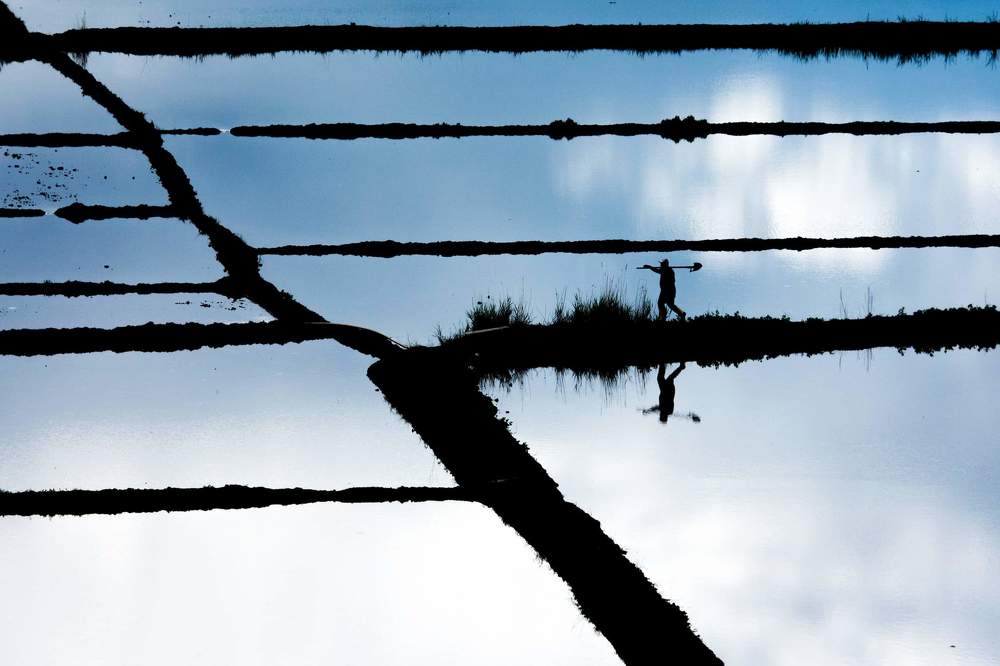 Фотография автора burak türk