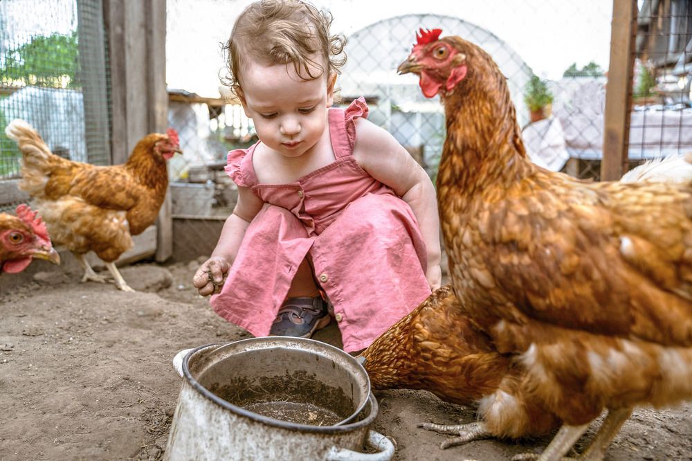 Photograph by Жанна Захарченко