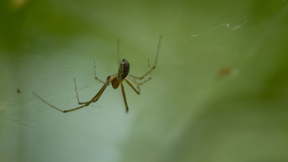 Photograph by Дмитрий