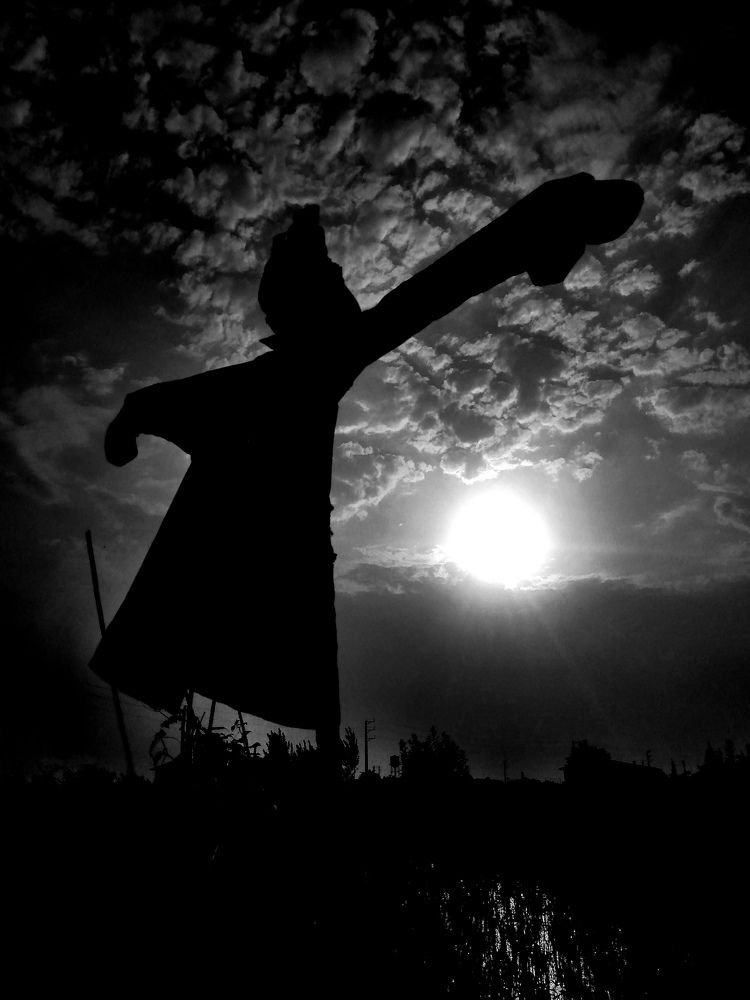 Photograph by Ali Shahnoor