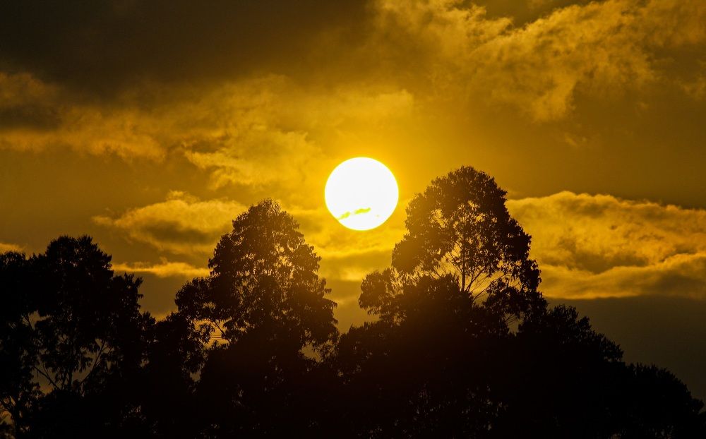 Photograph by Anusha Rao