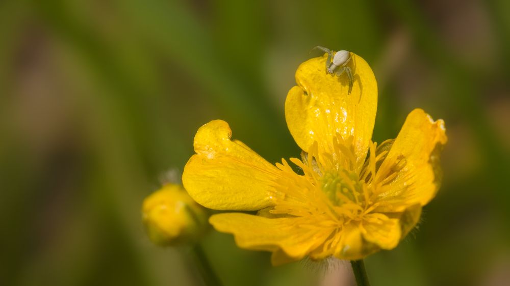 Photograph by Дмитрий