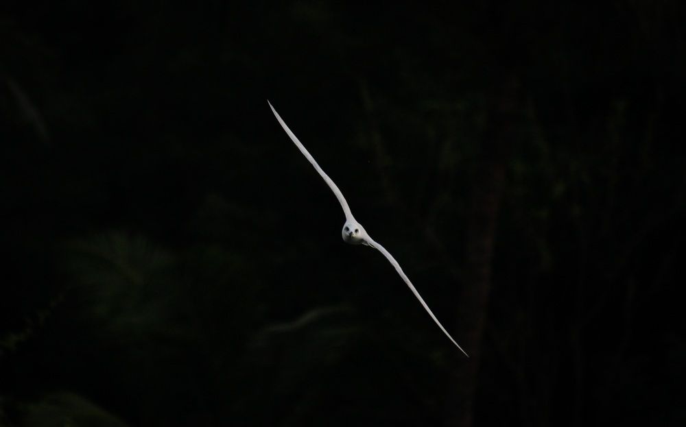 Photograph by Anusha Rao