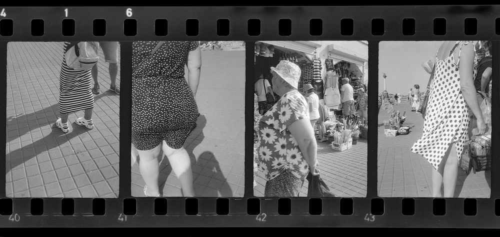 Фотография автора Юлия Образцова