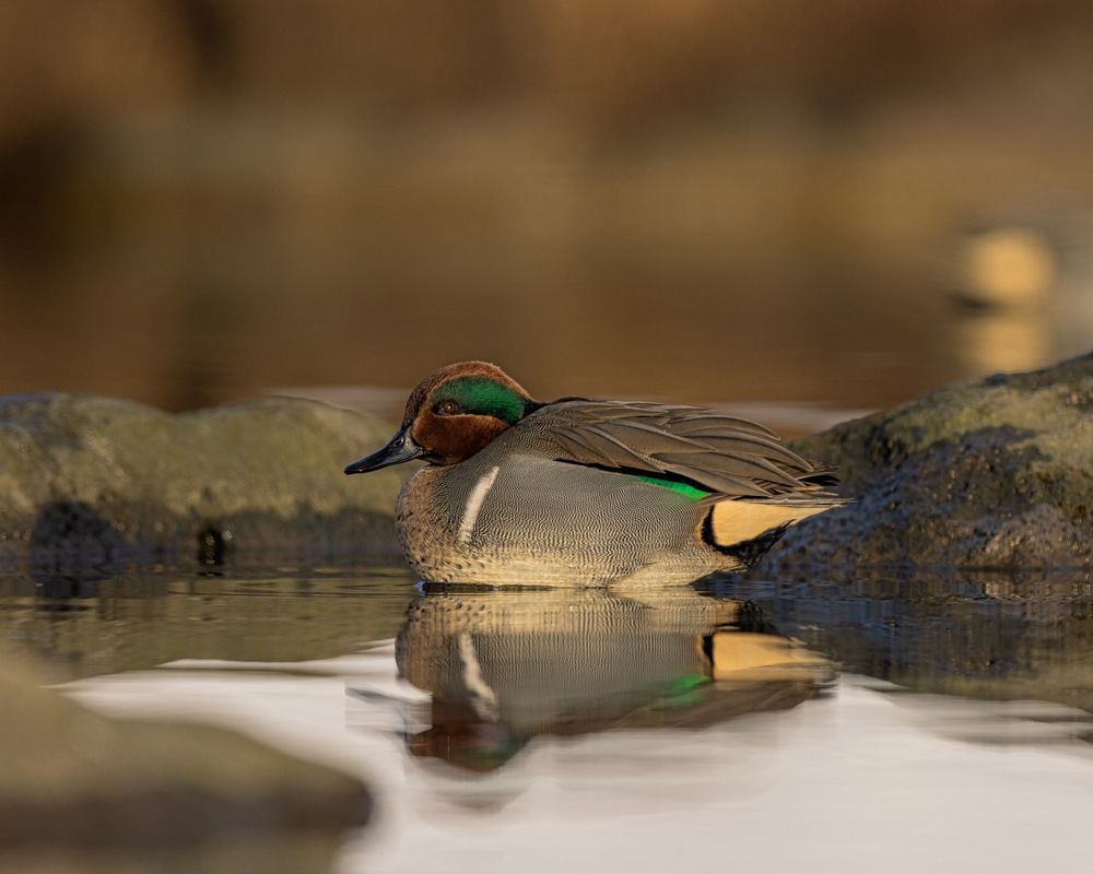 Photograph by Bragi Kort