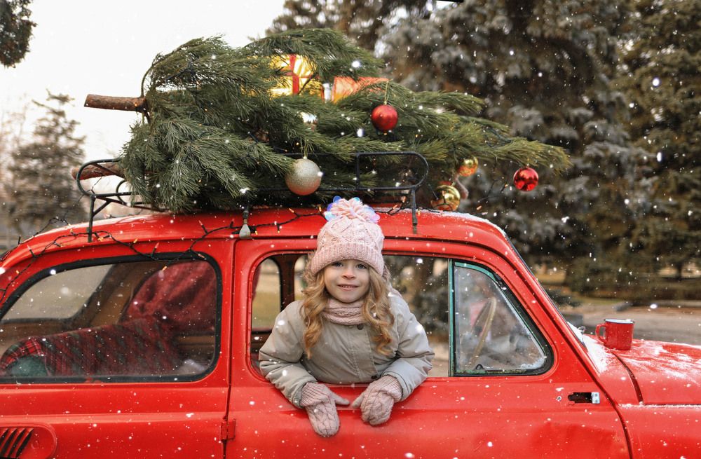 Photograph by Алиса Стрелкина