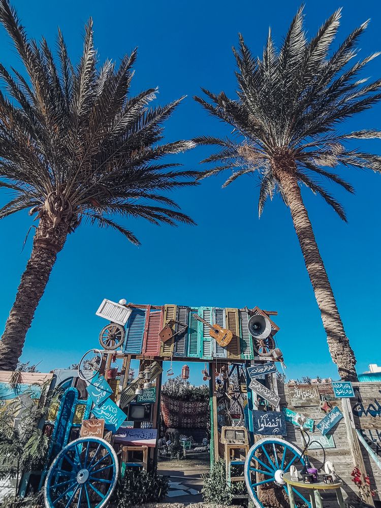 Photograph by Алиса Стрелкина