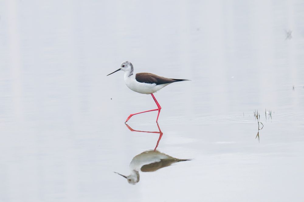 Photograph by Jagriti Srivastava