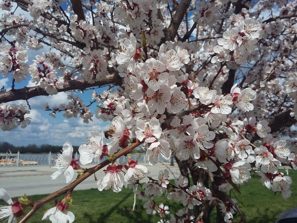 Photo #7215820