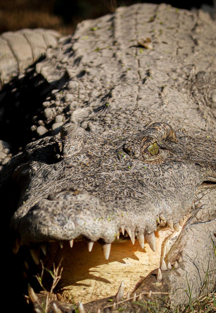 Photograph by Jagriti Srivastava