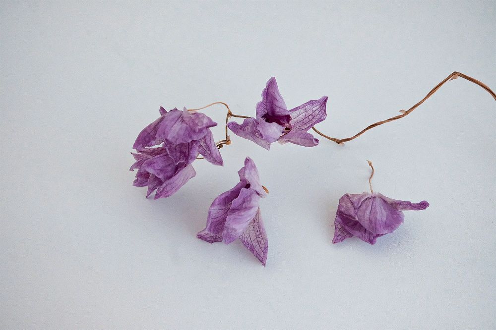 Photograph by Сизикова Ирина