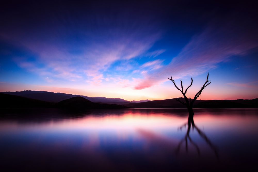 Photograph by Saeed orfipak