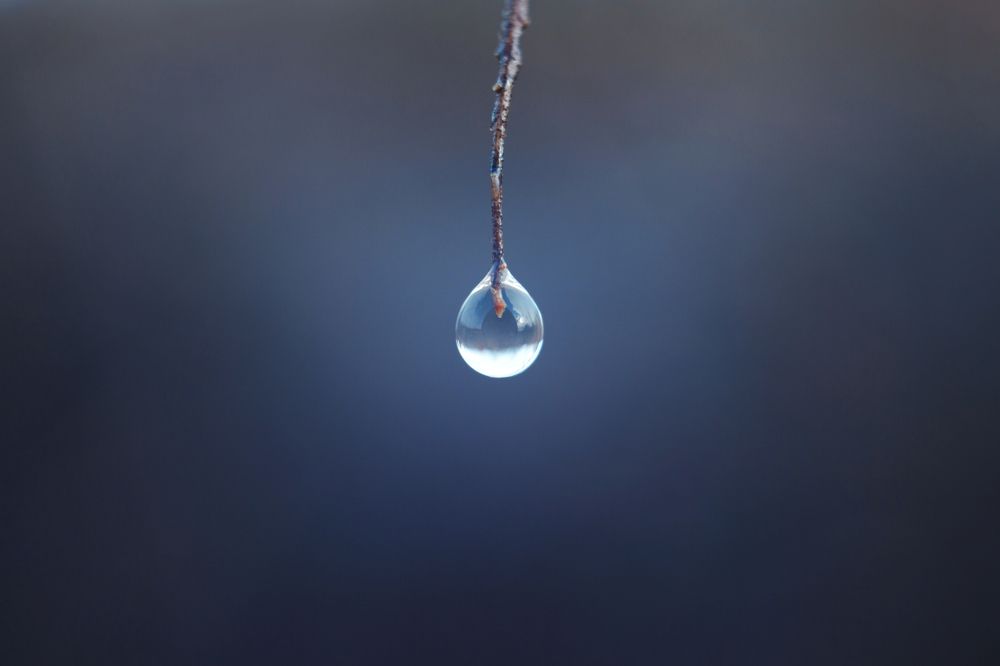 Photograph by Юлия Гаранина