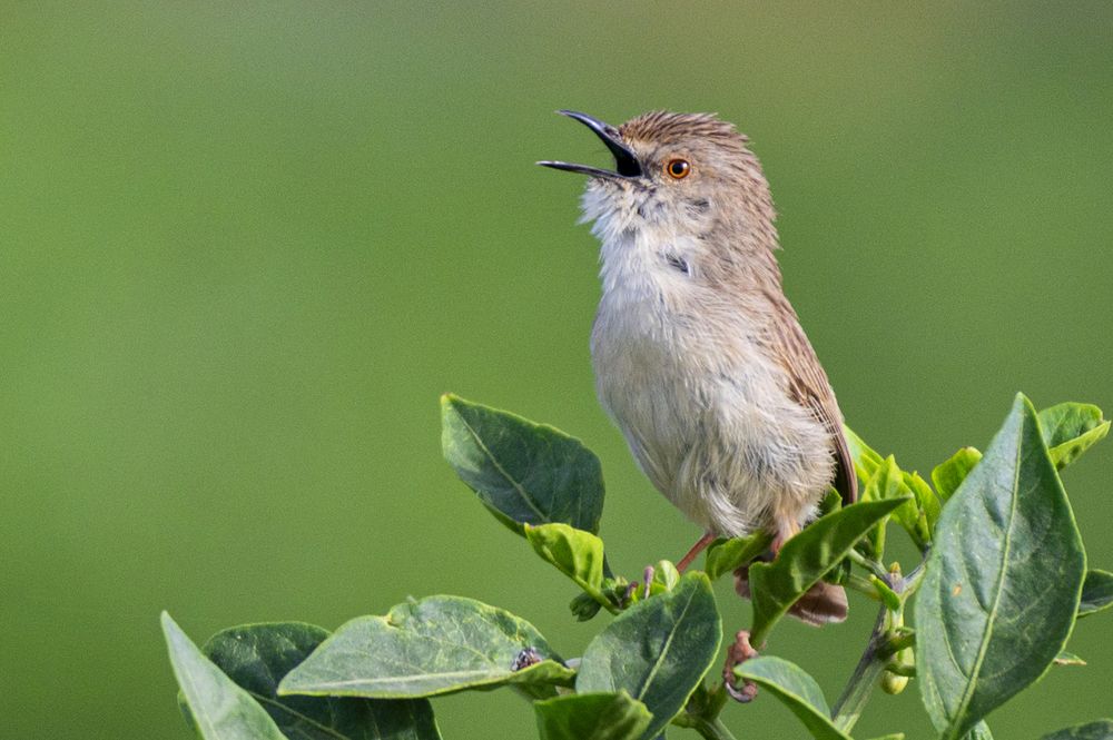 Photograph by Salma Al obaidi