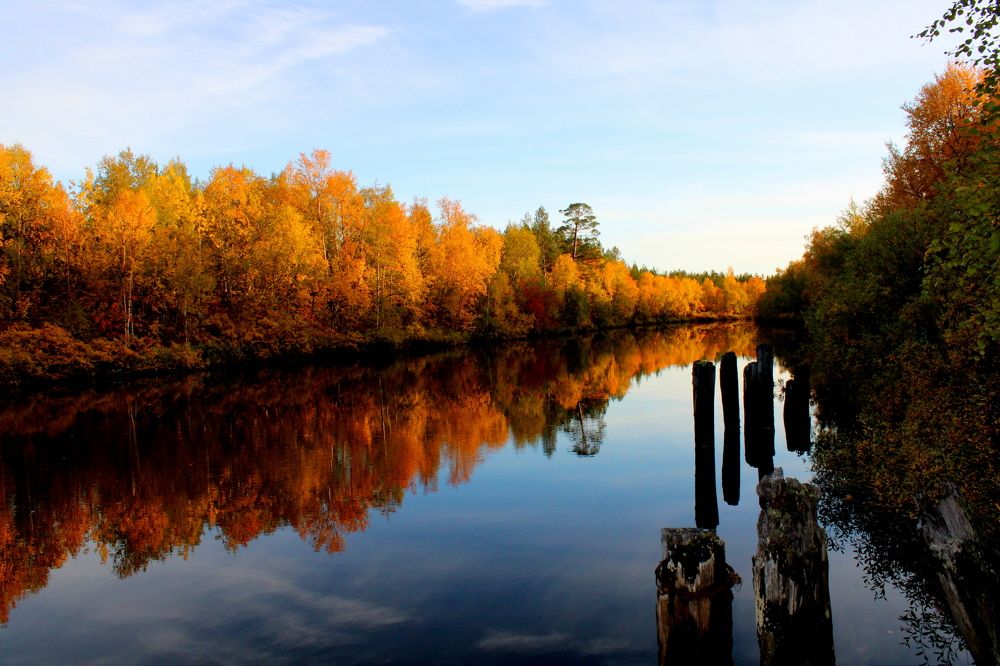 Photograph by Ирина Чечкина