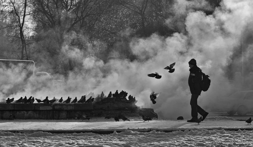 В жестоком дыму